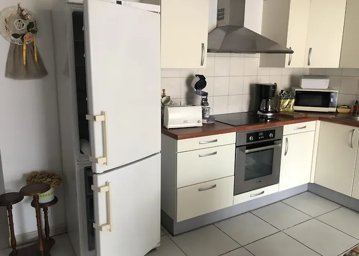 Location Sur Les Terrasses Du Centre Appt 4 A 6 Personnes * بانيول سور مير